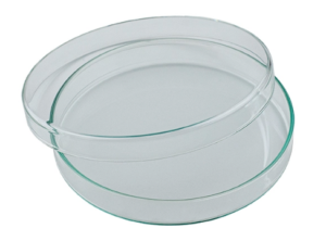 Glass Petri Dishes (90x15mm) Pack of 10